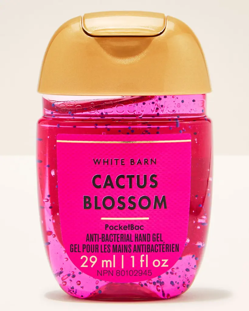 ANTIBACTERIAL CACTUS BLOSSOM 29ML BBW